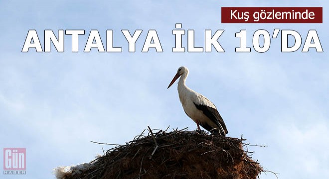 Kuş gözleminde Burdur ve Antalya ilk 10 da