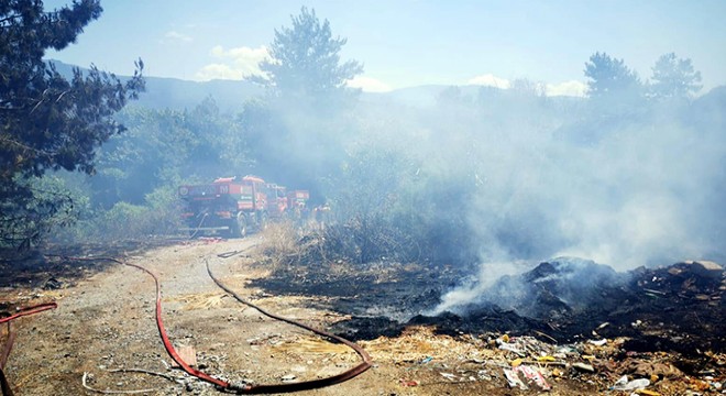 Kuşadası nda 2 hektar makilik alan yandı