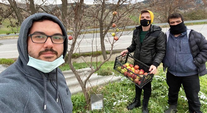 Kuşlar için 20 kilogram elmayı ağaçlara astılar