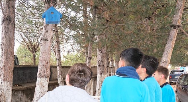 Lise öğrencileri kuşlar için yuva yaptı