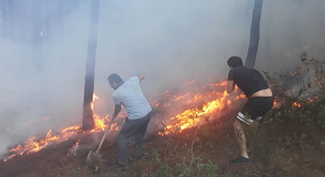 Maltepe de ormanlık alanda yangın