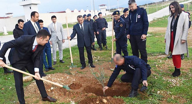 Manavgat Cezaevi nde 200 zeytin fidanı dikildi