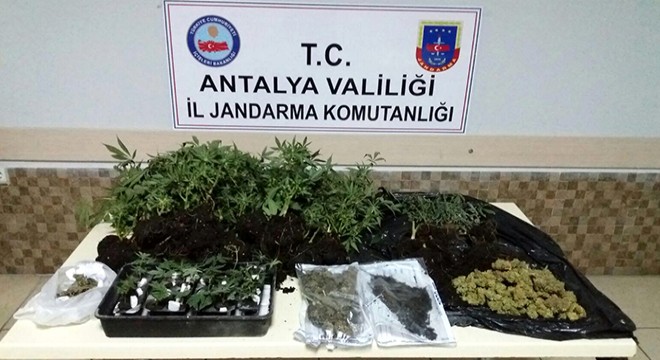 Manavgat ta uyuşturucu satıcısı tutuklandı