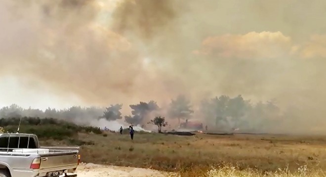 Manavgat’ta yeni bir orman yangını