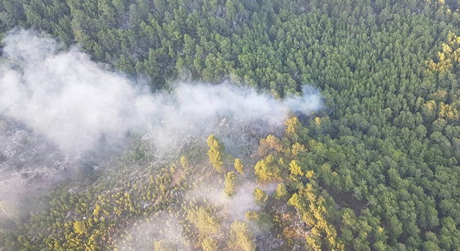 Manavgat taki orman yangınında 1 hektar alan zarar gördü