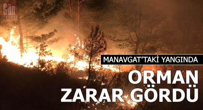 Manavgat taki yangında 1 hektarlık orman zarar gördü