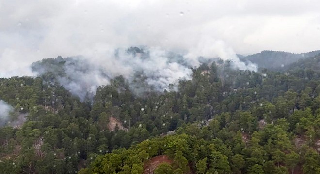 Manavgat taki yangında 4 hektar orman zarar gördü