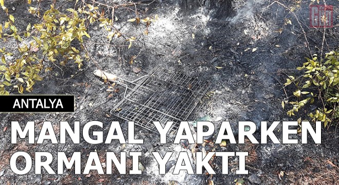 Mangal yaparken ormanı yaktı