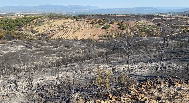Manisa daki orman yangını 13,5 saat sonra kontrol altında
