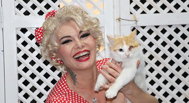 Mardinli Marilyn Monroe, kedi sığınma evi kurdu