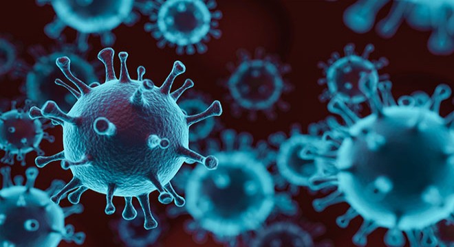 Meksika’da 204 kişi koronavirüsten hayatını kaybetti