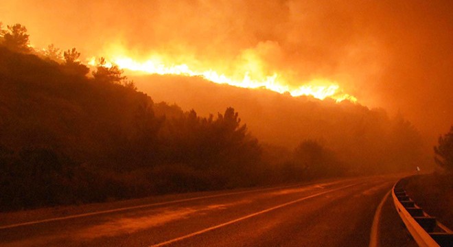 Menderes teki orman yangını davası sanığına 5 yıl hapis