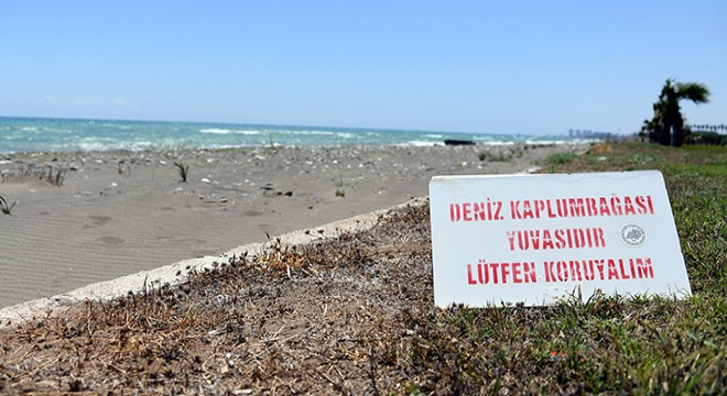 Mersin sahillerinde temizliğe  caretta caretta  hassasiyeti
