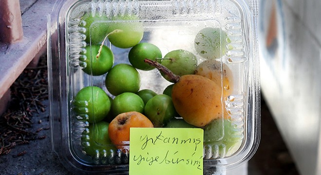 Meyveleri  yıkanmış yiyebilirsiniz  notuyla okul duvarına bıraktı