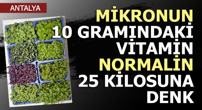 Mikro ürünlerin 10 gramı, 15-20 kilo normal sebzedeki vitamine eş değer