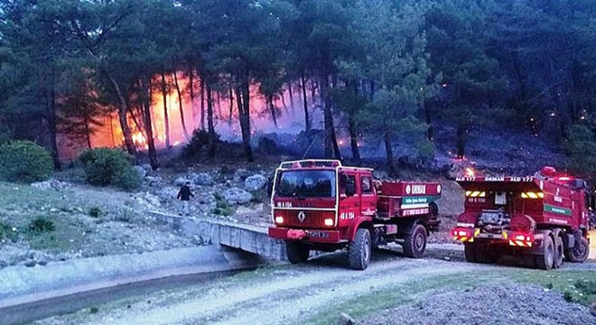 Muğla ve Aydın da 3 ayda 33 orman yangını çıktı