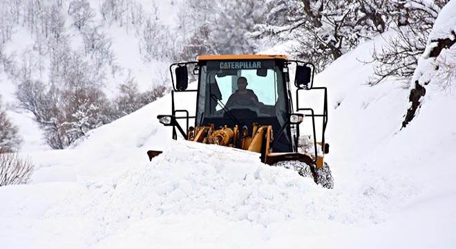 Muş un dağ köylerinde karla zorlu mücadele