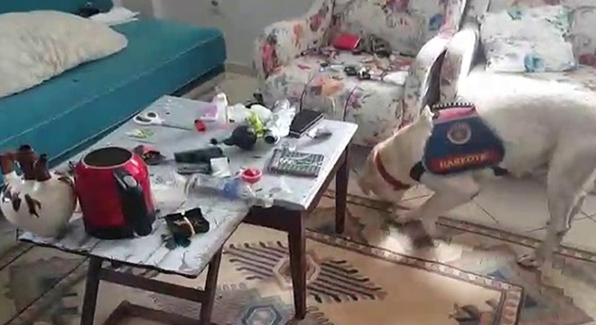 Narkotik köpeği makyaj çantasındauyuşturucu buldu