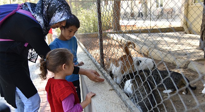 Öğrenciler hayvan barınağını ziyaret etti