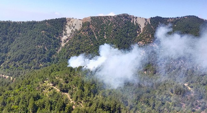 Orman yangını; 3 hektar alan kül oldu