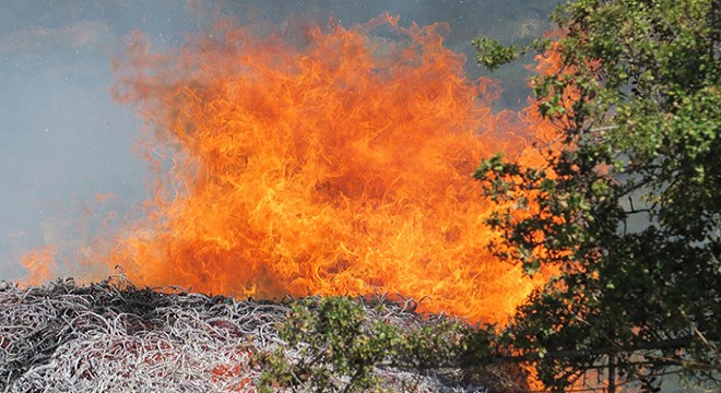 Orman yangını; 50 dönüm alan zarar gördü