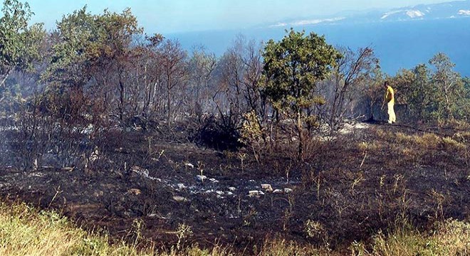 Orman yangınına neden olan 3 kişi tutuklandı