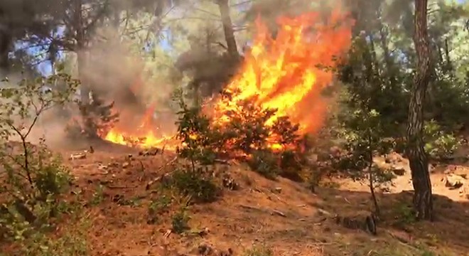 Orman yangınıyla ilgili 4 şüpheli adliyede