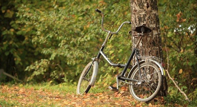 Ormanda kullandığı bisikleti devrilen genç yaralandı