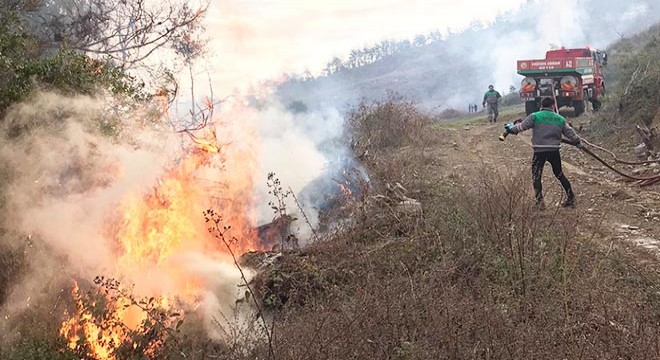 Ormanı ateşe verdiği ileri sürülen şüpheli tutuklandı