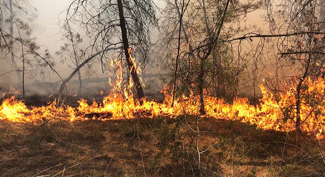 Ormanlık alanda çıkan yangın kısa sürede söndürüldü