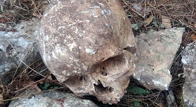 Ormanlık alanda kafatası ve çok sayıda kemik bulundu