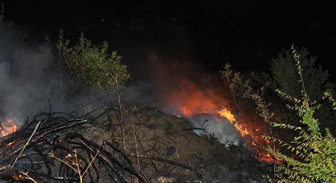 Ormanlık alanda yangın: 200 dönümlük alan kül oldu