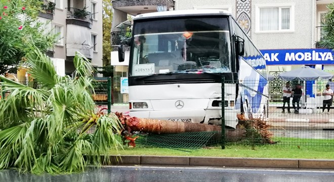 Otobüs palmiye ağacına çarptı