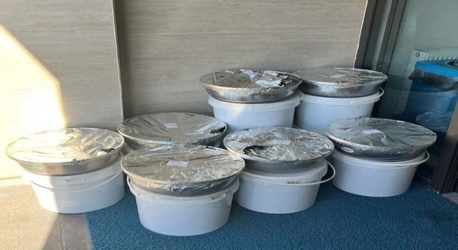 Otobüsle uygunsuz taşınan sarma ve dolmalar imha edildi