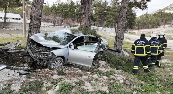 Otomobil ağaçlara çarparak durabildi: 1 yaralı