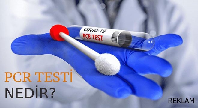 PCR Testi Nedir?