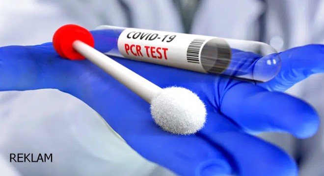 PCR Testi Sonucu Kaç Saatte Çıkar?