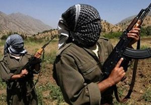 PKK 2 kişiyi kaçırdı