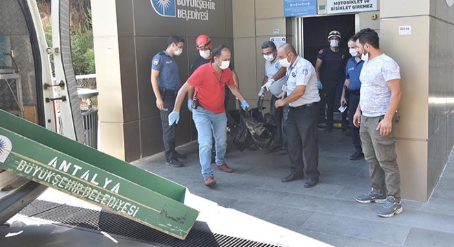 Panoramik asansör boşluğunda erkek cesedi bulundu