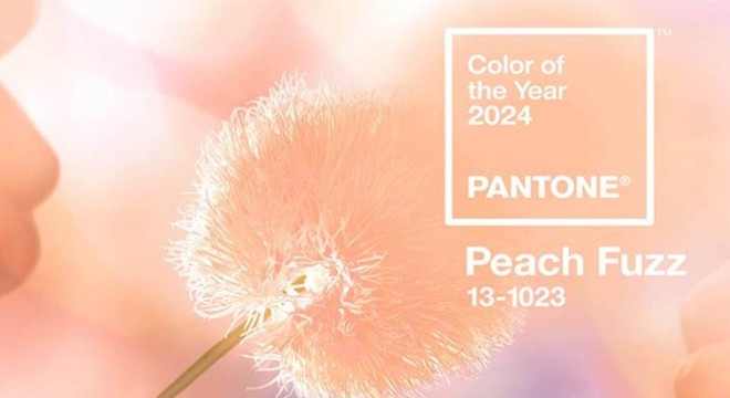 Pantone 2024 yılının rengini seçti: Şeftali tüyü
