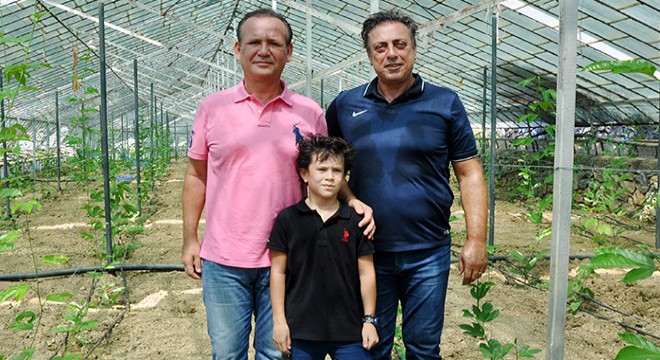 Passiflora bahçesi kuran gurbetçi: Avrupa ya satacağız