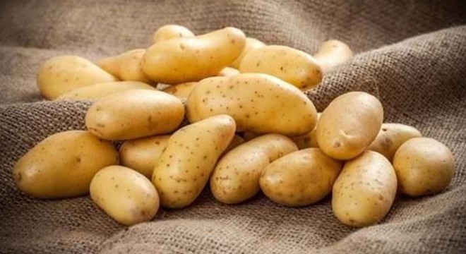 Patates tarlalarında kimyasal gübre tehlikesi
