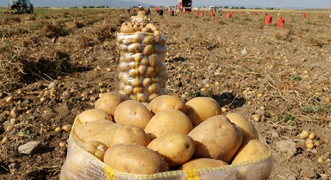 Patates üreticileri: Fiyatların yükseleceği söylemlerine inanmayın