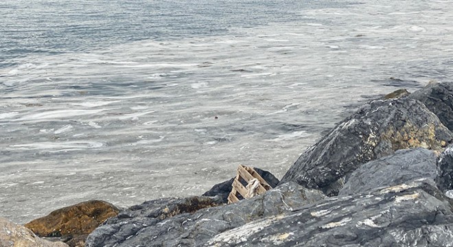 Pendik ve Kartal sahilinde tedirgin eden görüntü