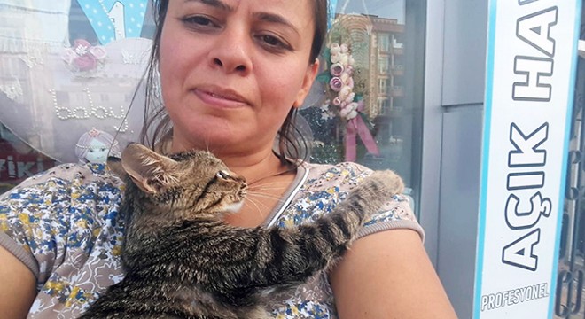 Pitbull saldırısında öldü sanılan yavru kediyi o kurtardı