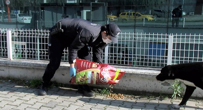 Polis ekipleri sokak hayvanları için mama bıraktı
