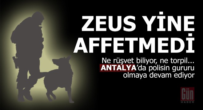 Polis köpeği Zeus yine affetmedi