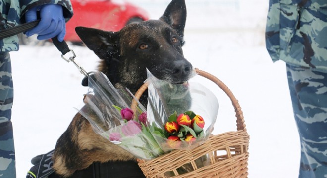 Polis köpeği, kadınlara çiçek dağıttı