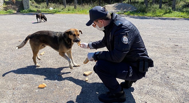 Polis kumanyalarını köpeklerle paylaştı