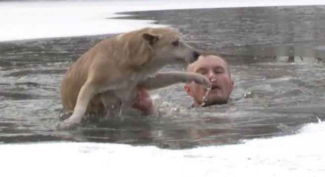 Rus gazeteci boğulmakta olan köpeği kurtardı